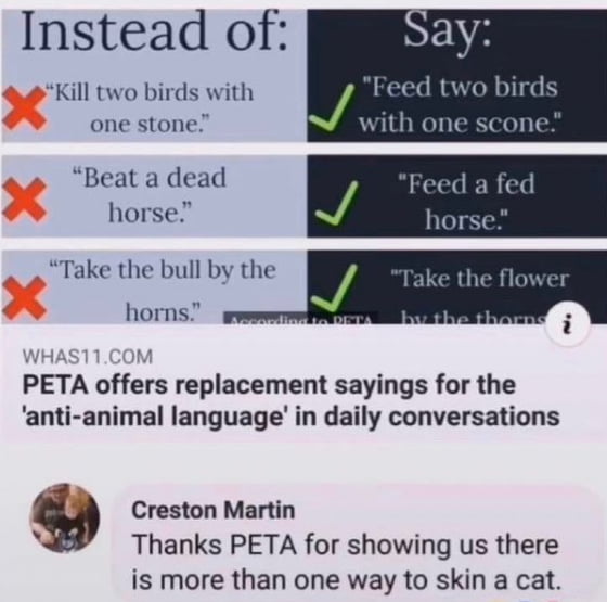 Instead of Kill two birds with J Feed two birds one stone with one scone Beat a dead horse horns PETA offers replacement sayings for the anti animal language in daily conversations 9 Creston Martin s Thanks PETA for showing us there is more than one way to skin a cat