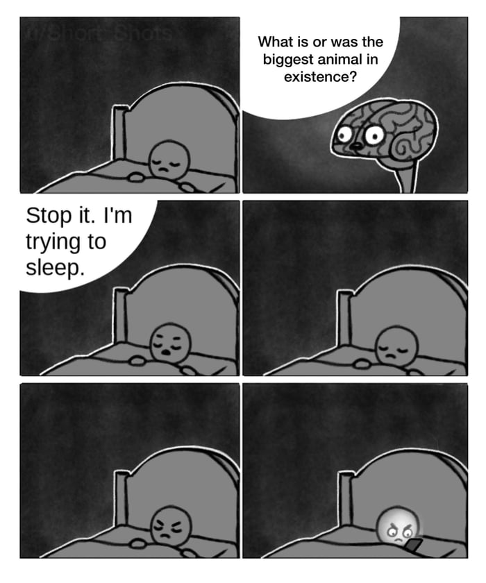 What is or was the biggest animal in existence Stop it Im trying to sleep
