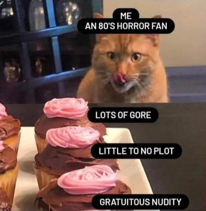 ME AN 80'S HORROR FAN
LOTS OF GORE
LITTLE TO NO PLOT
GRATUITOUS NUDITY