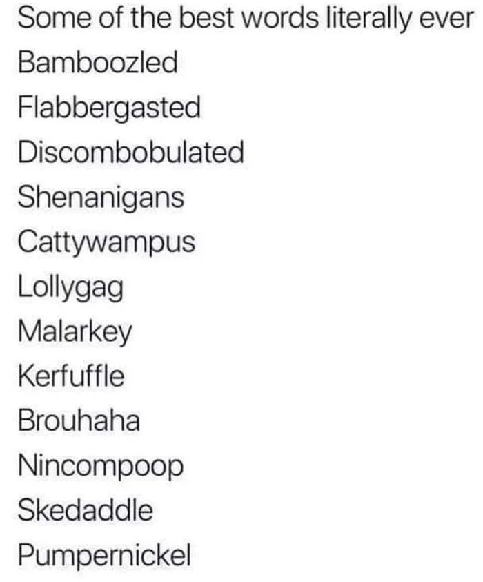 Some of the best words literally ever Bamboozled Flabbergasted Discombobulated Shenanigans Cattywampus Lollygag Malarkey Kerfuffle Brouhaha Nincompoop Skedaddle Pumpernickel