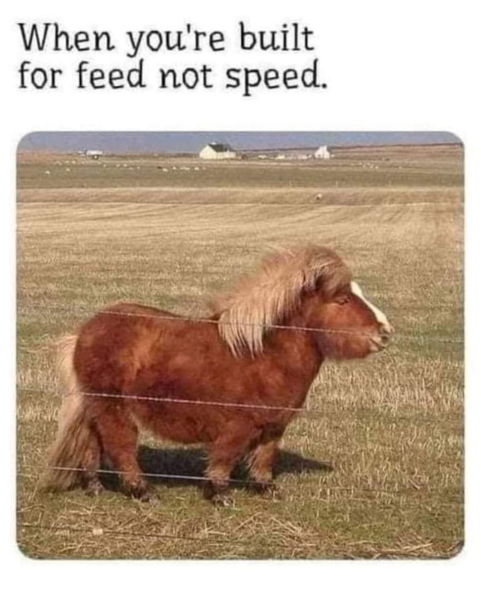 When youre built for feed not speed