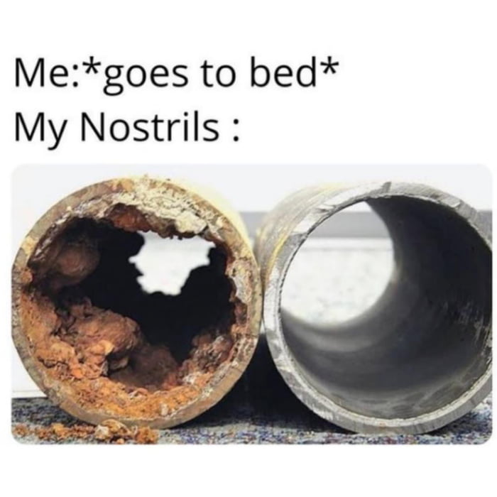 Megoes to bed My Nostrils