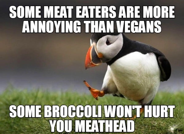 SOME MEAT EATERS ARE MORE ANNOYING THAN VEGANS SOME BROCCOLIWONT HURT YOUMEATHEAD 3