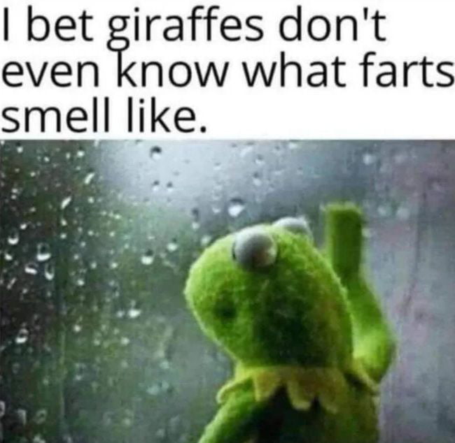 bet giraffes dont even know what farts smell like