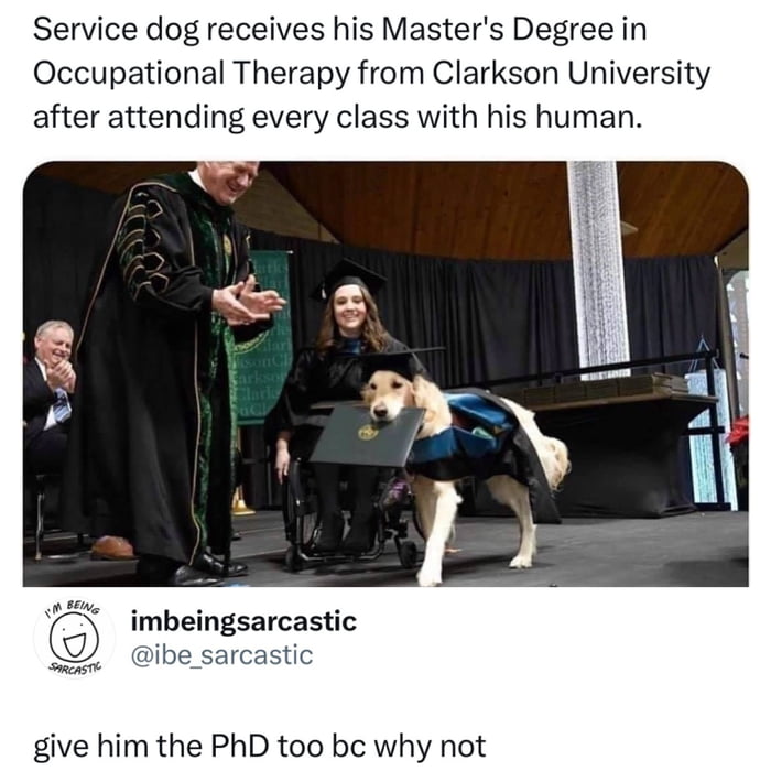 Service dog receives his Master's Degree in Occupational Therapy from Clarkson University after attending every class with his human. I'M BEING SARCASTIC imbeingsarcastic @ibe_sarcastic give him the PhD too bc why not