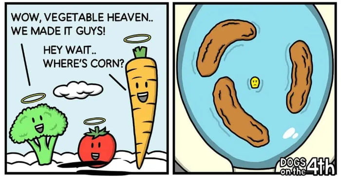 WOW, VEGETABLE HEAVEN.. WE MADE IT GUYS! HEY WAIT.. WHERE'S CORN? DOGS ON THE 4TH
