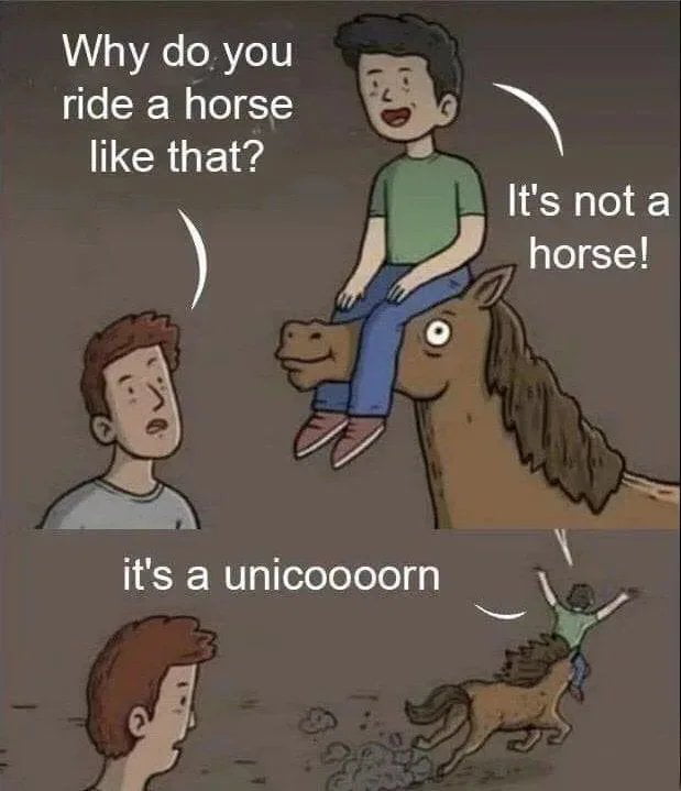 Why do you ride a horse LCRE 9 thorrfa e its a unicoooorn