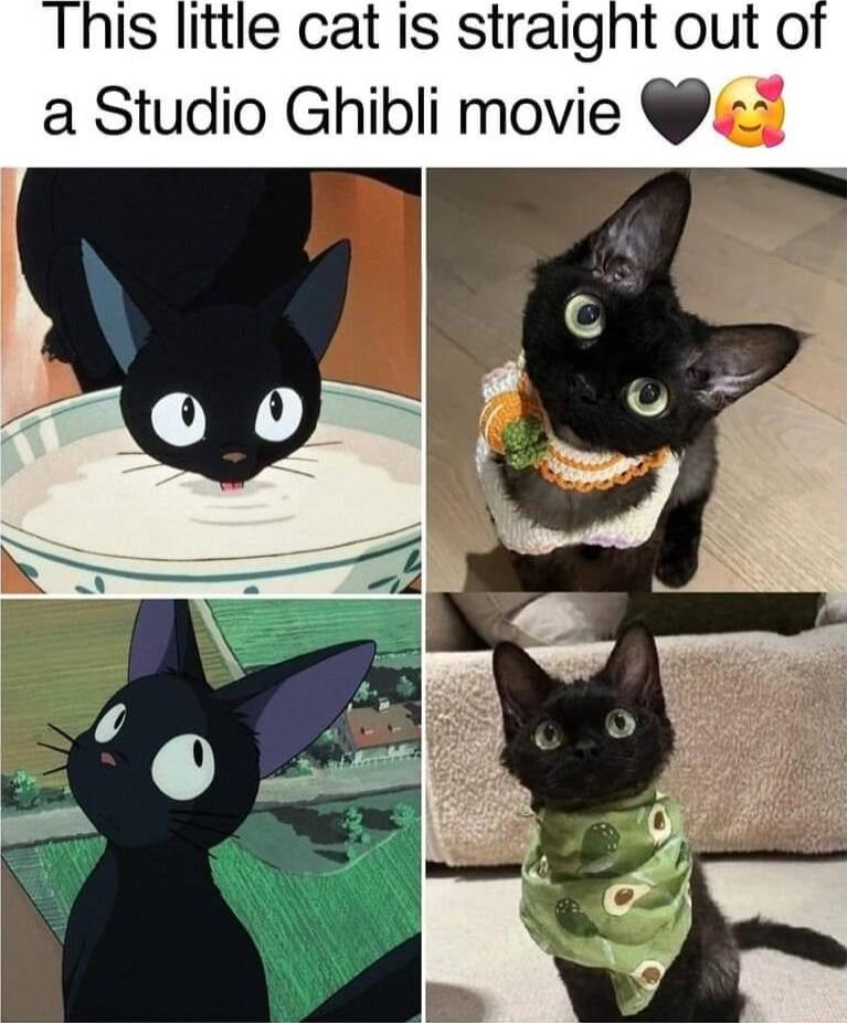 his little cat Is straight out o a Studio Ghibli movie