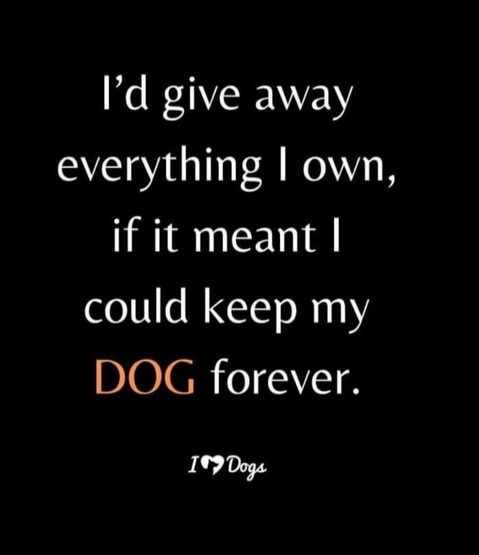 I'd give away everything I own, if it meant I could keep my DOG forever. I love Dogs