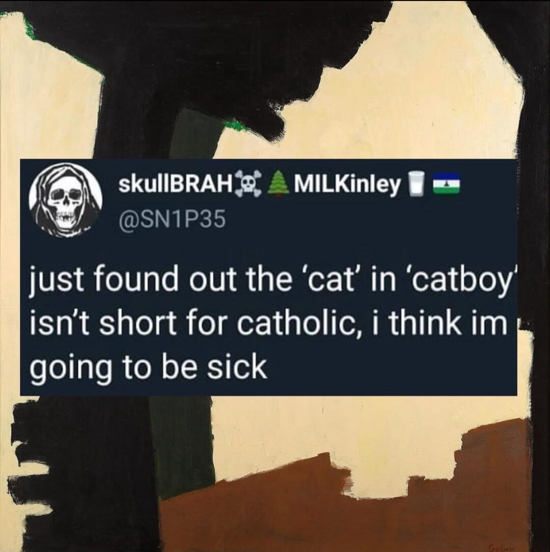 skulBRAHE A MiLKinley just found out the cat in catboy isnt short for catholic i think im going to be sick