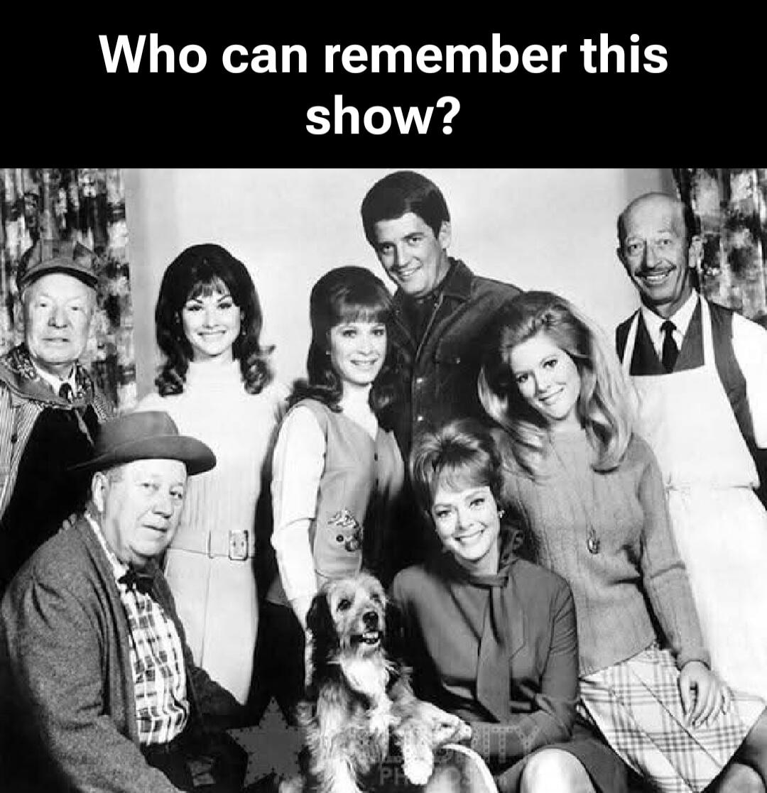 Who can remember this show?