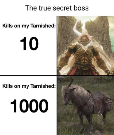 The true secret boss Kills on my Tarnished Kills on my Tarnished 1000