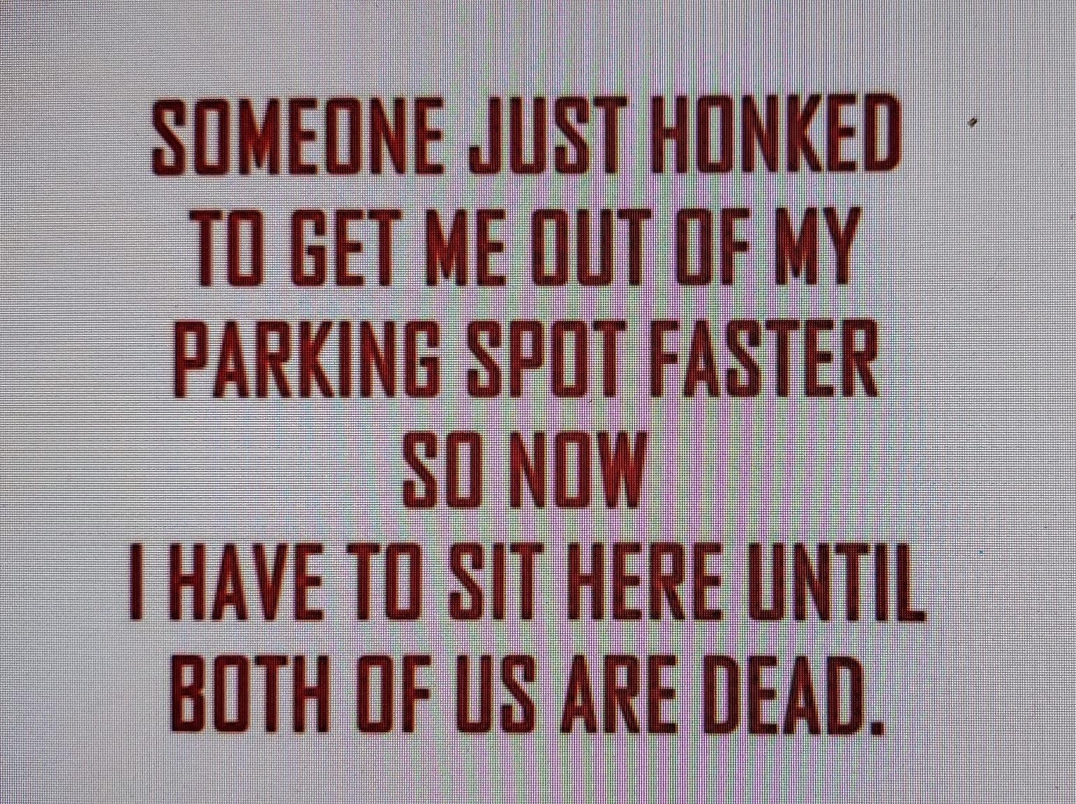 SOMEDNE JUST HONKED T0 GET ME DUT OF MY PARKING SPOT FASTER SONOW I HAVE TO SIT HERE UNTIL il BOTH OF US ARE DEAD