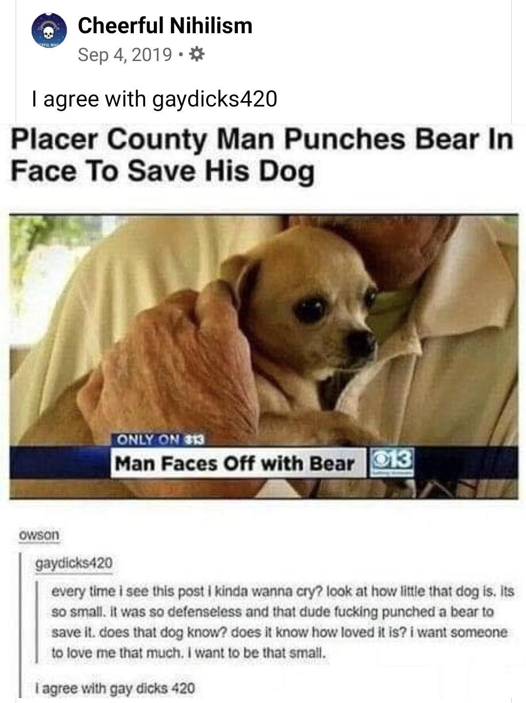 Cheerful Nihilism Sep 42019 agree with gaydicks420 Placer County Man Punches Bear In Face To Save His Dog every ttme see this post kinda wanna cry look at how little that dog Is its so small It was so defenseless and that dude fucking punched a bear to save L does that dog know does it know how loved it Is want someone to love me that much want 1o be that small agree with gay dicks 420