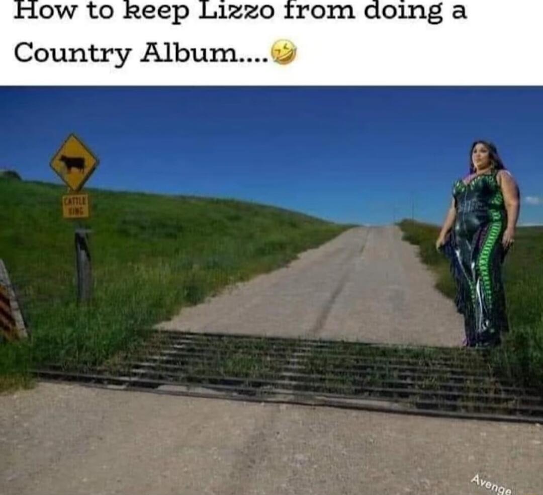 OW to kReep Lizzo Irom doing a Country Album