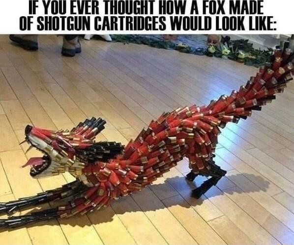 IF YOU EVER THOUGHT ROW A FOX MADE OF SIIIIBIIN GARTRIDGES WIIII LOOK LIKE