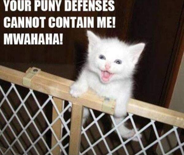 YOUR PUNY DEFENSES CANNOT CONTAIN ME MWAHRHA