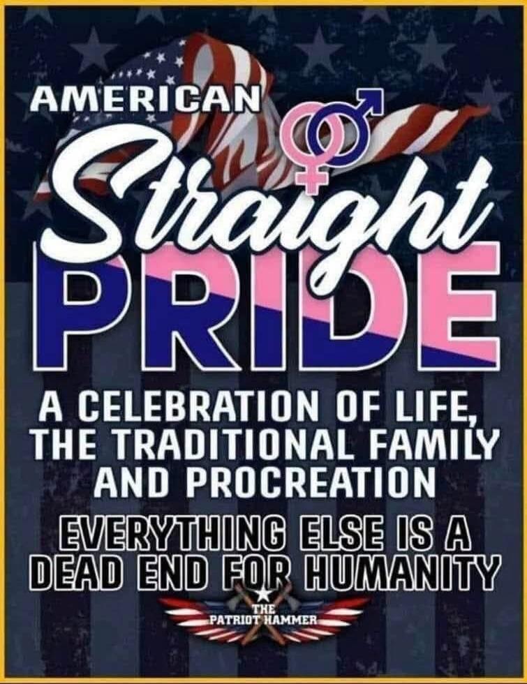 AMERICAN Straight PRIDE A CELEBRATION OF LIFE, THE TRADITIONAL FAMILY AND PROCREATION EVERYTHING ELSE IS A DEAD END FOR HUMANITY THE PATRIOT HAMMER