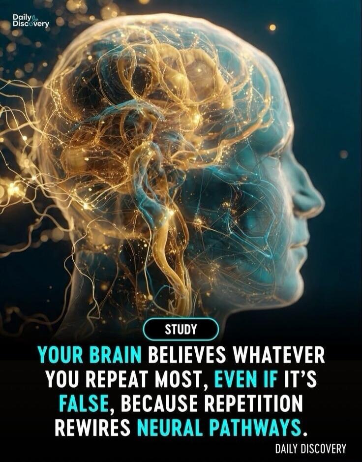 Daily Discovery STUDY YOUR BRAIN BELIEVES WHATEVER YOU REPEAT MOST, EVEN IF IT'S FALSE, BECAUSE REPETITION REWIRES NEURAL PATHWAYS.