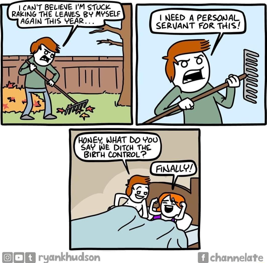 CANT BELIEVE M STUCK RAKING THE LEAVES BY MYSELF AGAIN THIS YEAR NEED A PERSONAL SERVANT FOR THIST z HONES WHAT DO 00 SAY WE DITCH THE BIRTH CONTROL