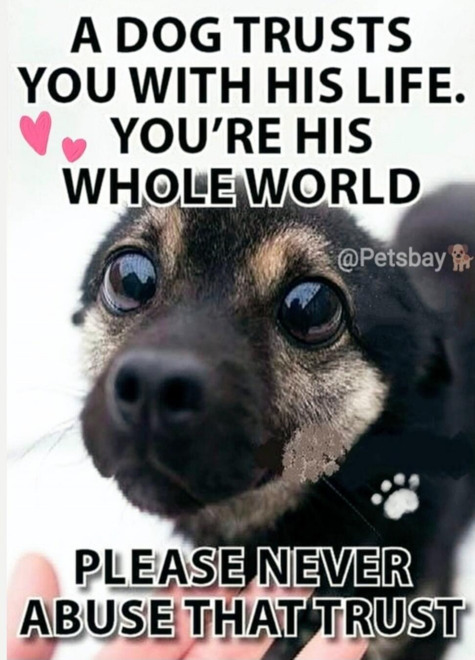 A DOG TRUSTS YOU WITH HIS LIFE. YOU'RE HIS WHOLE WORLD. PLEASE NEVER ABUSE THAT TRUST.