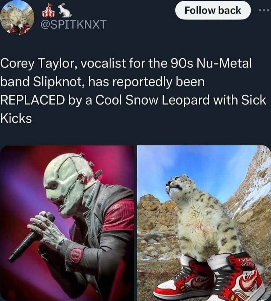 Follow back JEES SPITKNXT Corey Taylor vocalist for the 90s Nu Metal band Slipknot has reportedly been REPLACED by a Cool Snow Leopard with Sick Kicks