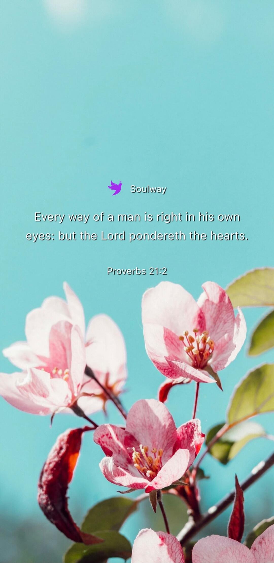 Soulway Every way of a man is right in his own eyes: but the Lord pondereth the hearts. Proverbs 21:2