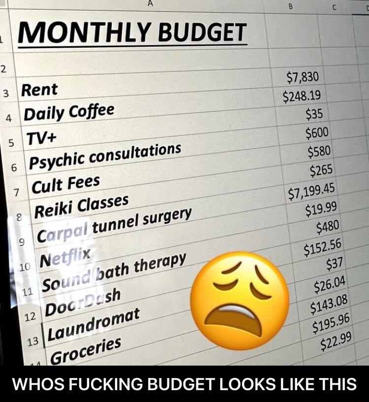 MONTHLY BUDGET 2 2 Rent 7830 Daily Coffee 2819 35 s TV i 600 6 Psychicmnsulmnans 5530 Cult Fees o 719945 WHOS FUCKING BUDGET LOOKS LIKE THIS