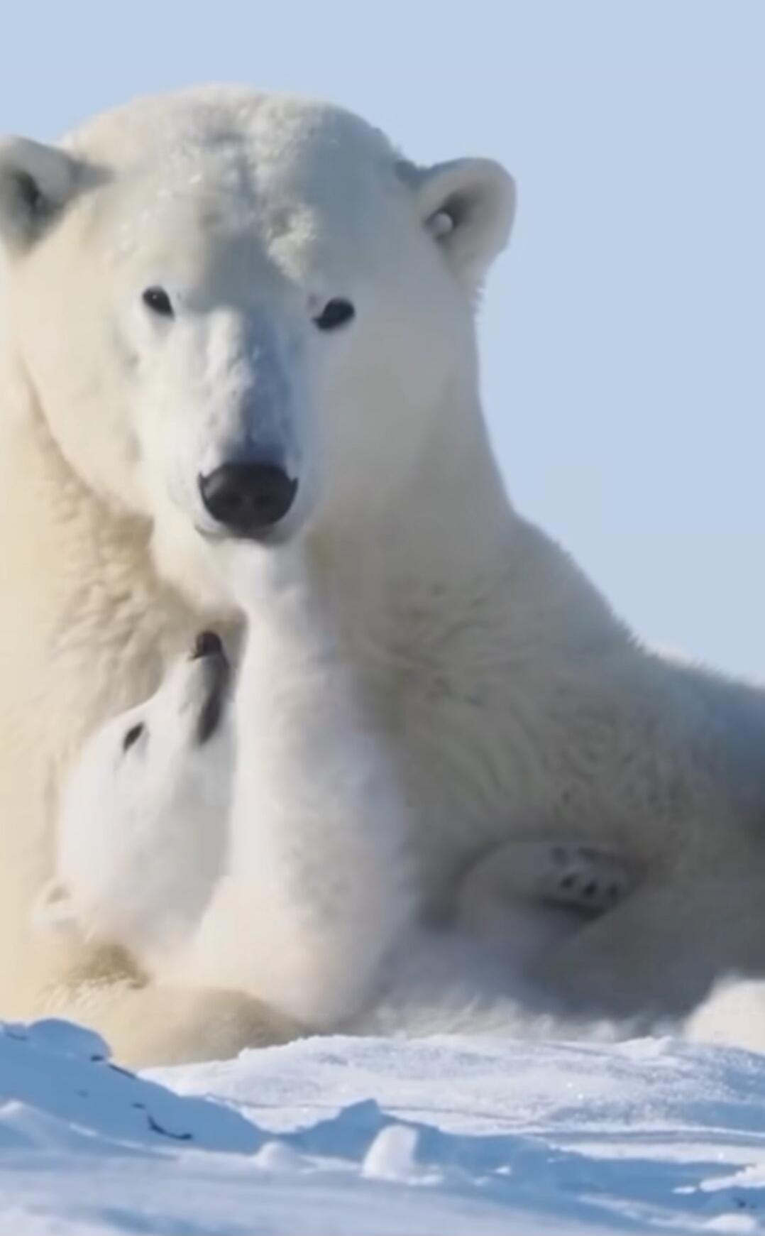 Session ID: 1028492.