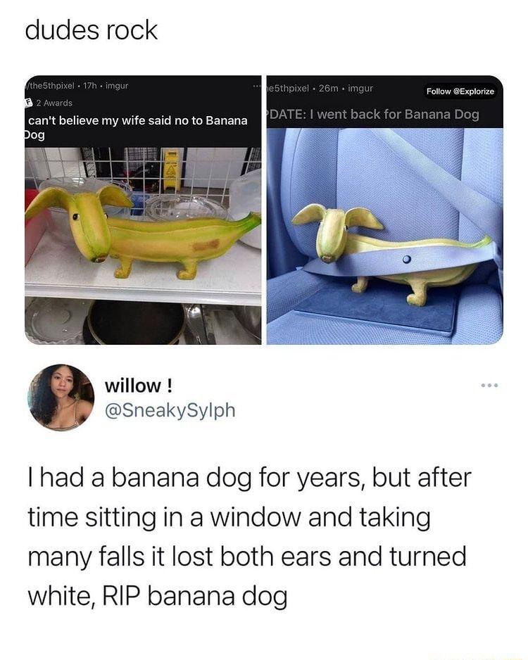 dudes rock cant believe my wife said no to Banana willow SneakySylph had a banana dog for years but after time sitting in a window and taking many falls it lost both ears and turned white RIP banana dog