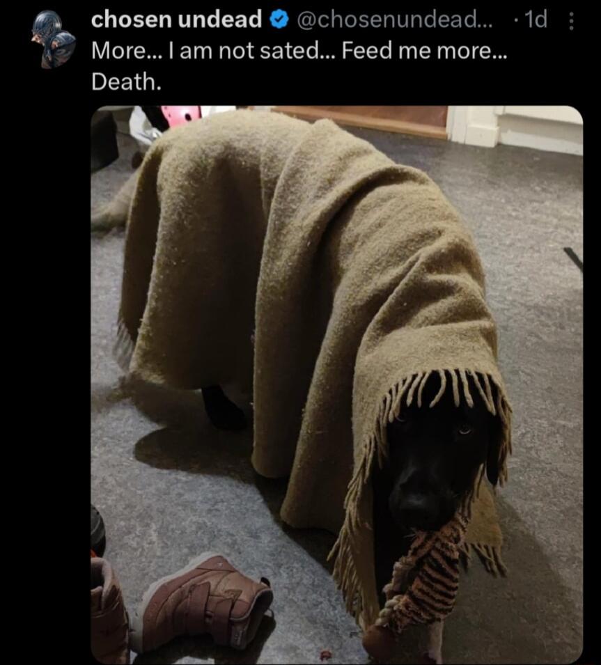 chosen undead chosenundead 1d More am not sated Feed me more PEEIGN