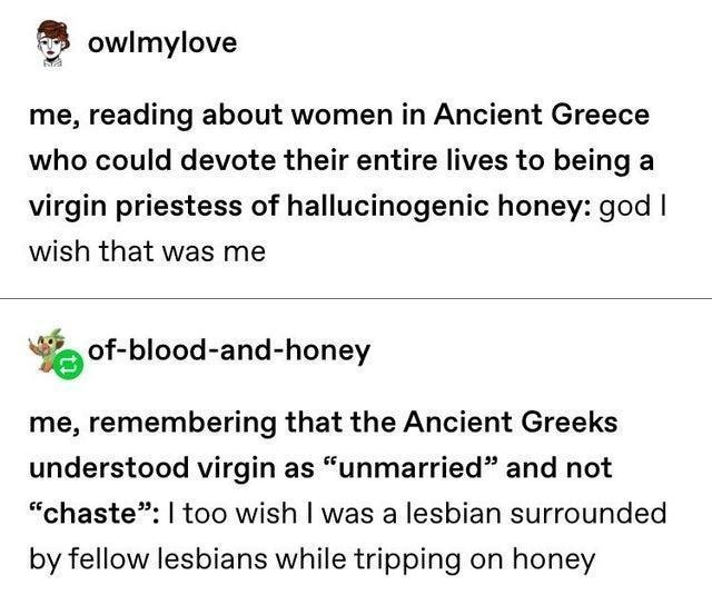 owlmylove me reading about women in Ancient Greece who could devote their entire lives to being a virgin priestess of hallucinogenic honey god wish that was me ofblood and honey me remembering that the Ancient Greeks understood virgin as unmarried and not chaste too wish was a lesbian surrounded by fellow lesbians while tripping on honey 63186 notes 0 2o e