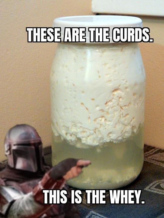 e THESEARETHECURDS b T y HIS 1S THE WHEY