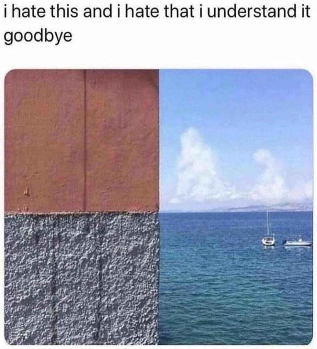i hate this and i hate that i understand it goodbye