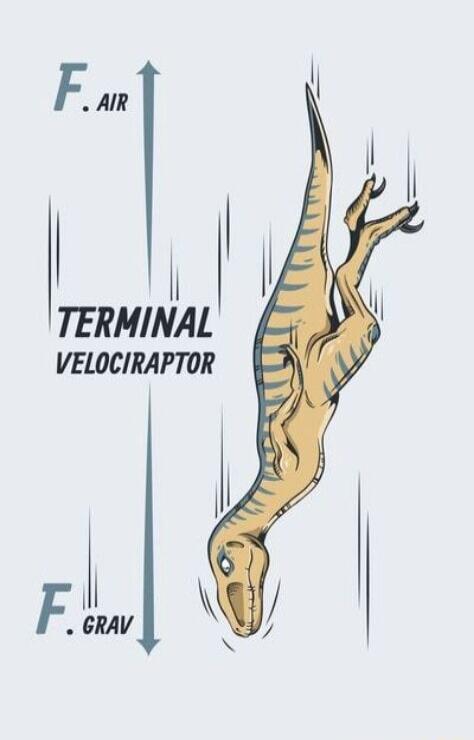 TERMINAL VELOCIRAPTOR