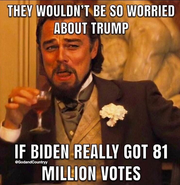 They wouldn't be so worried about Trump if Biden really got 81 million votes.