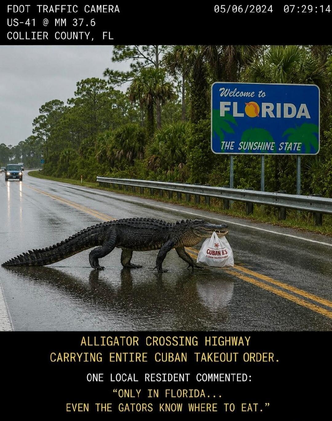 FDOT TRAFFIC CAMERA US-41 @ MM 37.6 COLLIER COUNTY, FL 05/06/2024 07:29:14 Welcome to FLORIDA THE SUNSHINE STATE CUBAN B'S CUBAN RESTAURANT ALLIGATOR CROSSING HIGHWAY CARRYING ENTIRE CUBAN TAKEOUT ORDER. ONE LOCAL RESIDENT COMMENTED: “ONLY IN FLORIDA…” EVEN THE GATORS KNOW WHERE TO EAT.”