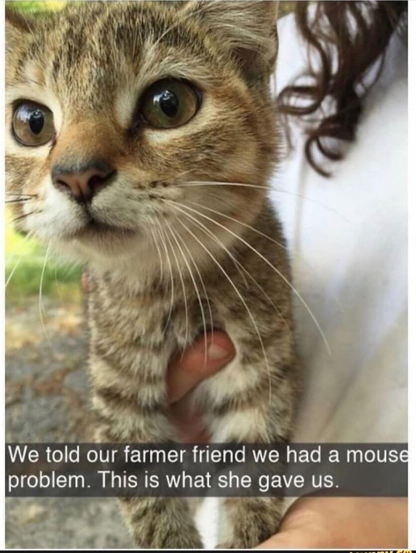 B We told our farmer friend we had a mous problem This is what she gave us S