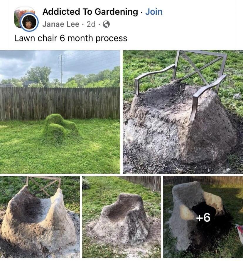 Addicted To Gardening. Janae Lee. Lawn chair 6 month process. Join.