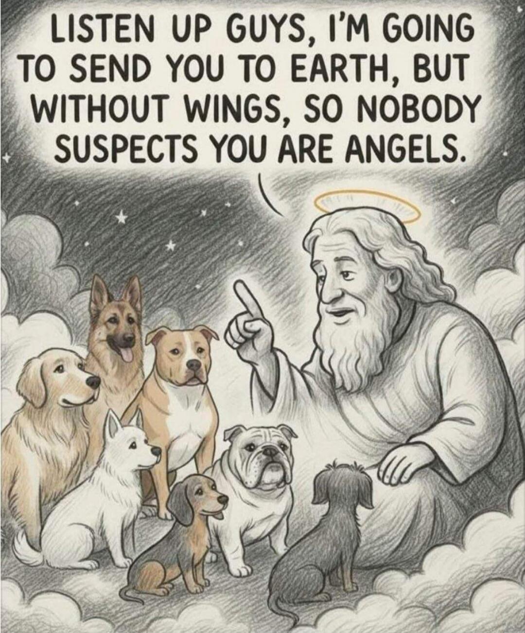 LISTEN UP GUYS, I'M GOING TO SEND YOU TO EARTH, BUT WITHOUT WINGS, SO NOBODY SUSPECTS YOU ARE ANGELS.