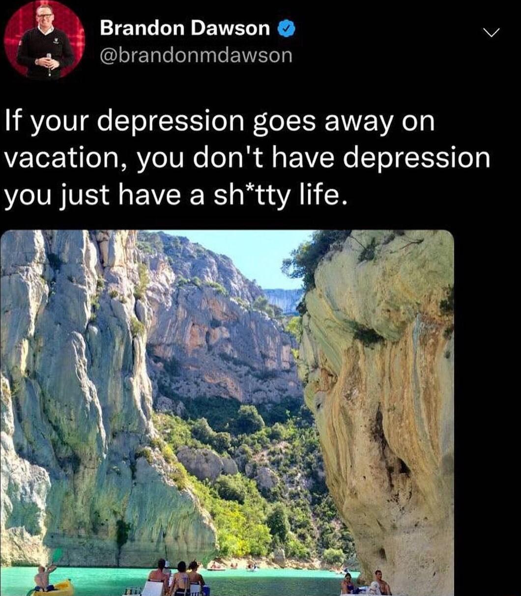 3 Q Brandon Dawson brandonmdawson If your depression goes away on vacation you dont have depression you just have a shtty life