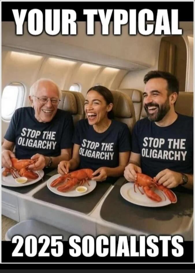 YOUR TYPICAL 2025 SOCIALISTS
STOP THE OLIGARCHY (on shirts) and three people on an airplane eating lobsters