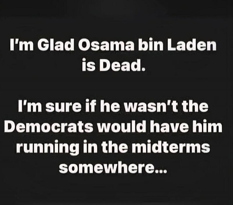 I'm Glad Osama bin Laden is Dead. I'm sure if he wasn't the Democrats would have him running in the midterms somewhere...