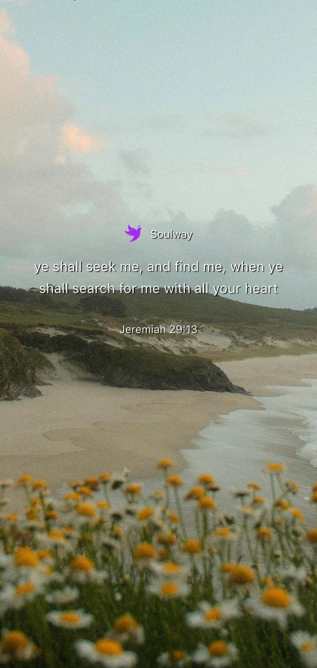 Soulway ye shall seek me, and find me, when ye shall search for me with all your heart Jeremiah 29:13