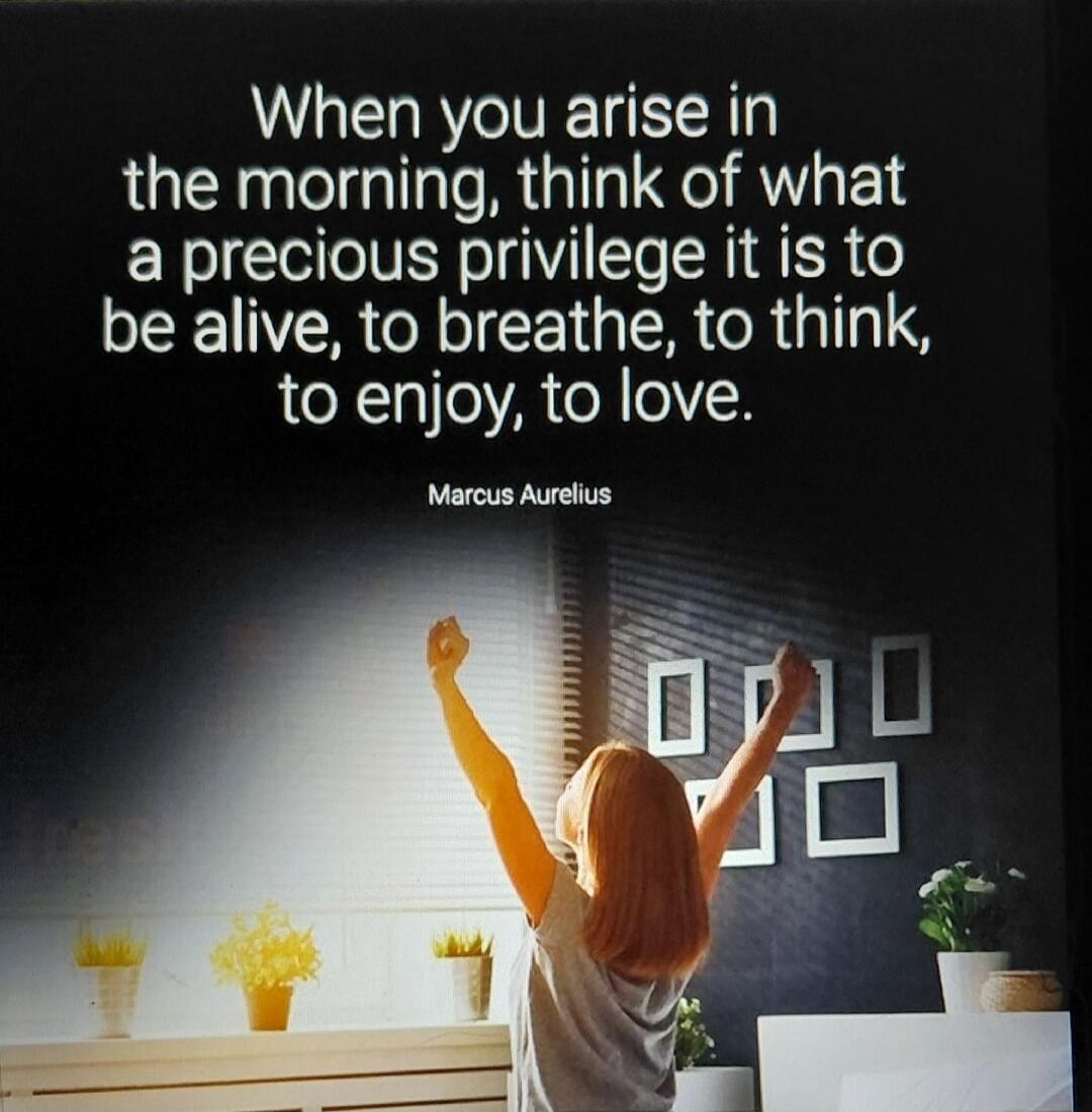 When you arise in the morning, think of what a precious privilege it is to be alive, to breathe, to think, to enjoy, to love. Marcus Aurelius