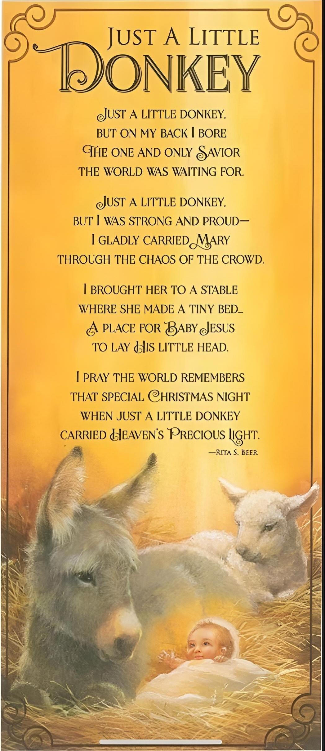 Just A Little Donkey

Just a little donkey.
But on my back I bore
the one and only Savior
the world was waiting for.

Just a little donkey,
but I was strong and proud—
I gladly carried Mary
through the chaos of the crowd.

I brought her to a stable
where she made a tiny bed—
A place for Baby Jesus
to lay his little head.

I pray the world remembers