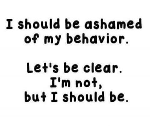 I should be ashamed of my behavior. Let's be clear. I'm not, but I should be.