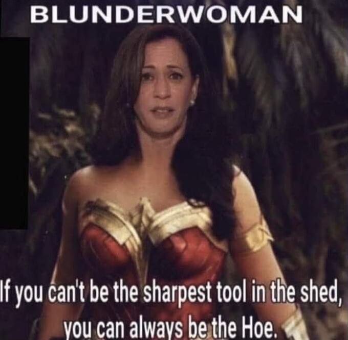 BLUNDERWOMAN
If you can't be the sharpest tool in the shed, you can always be the Hoe.