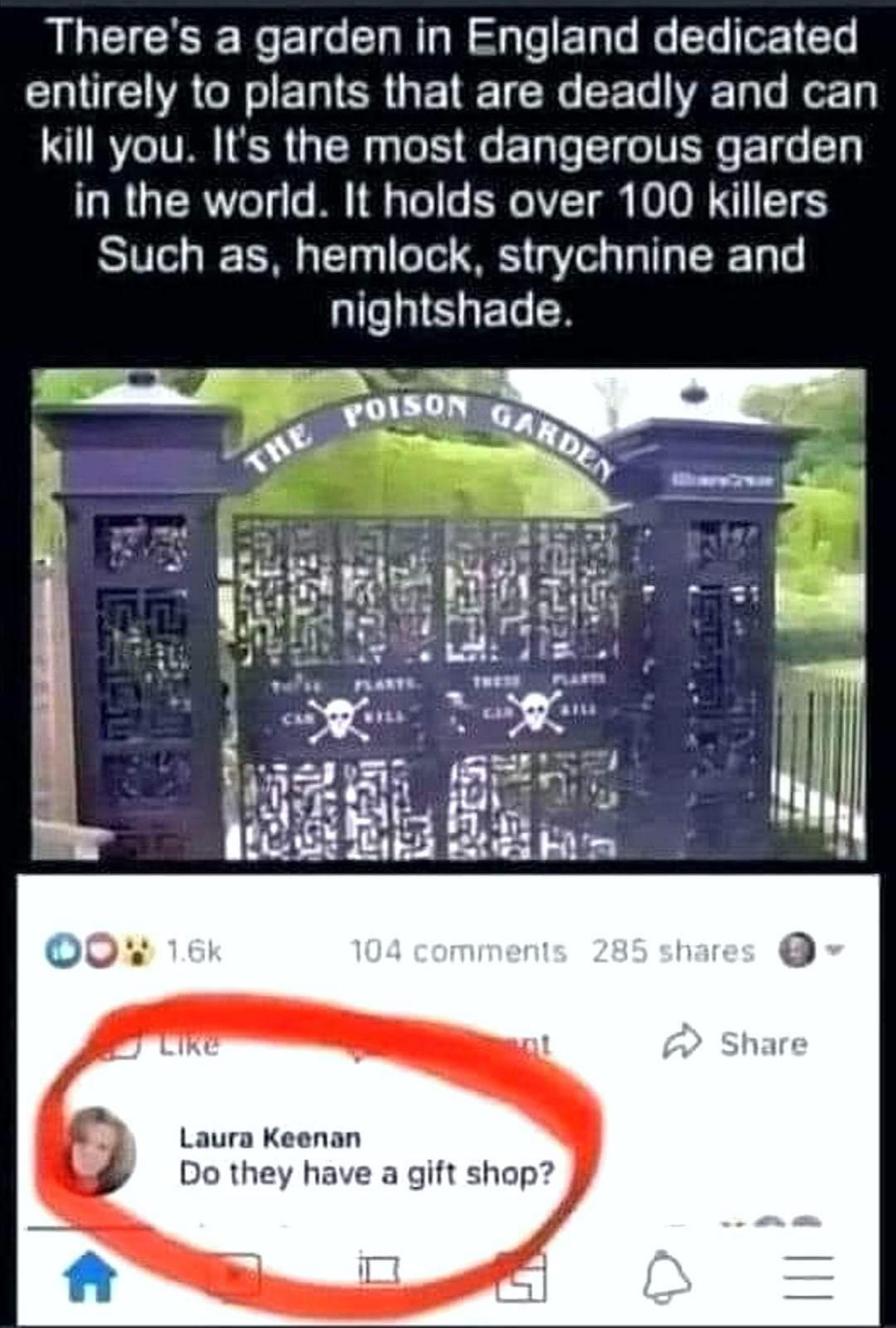 LG GEE R Elee Clal aR aleF1als e Ta 01 CTe entirely to plants that are deadly and can kill you Its the most dangerous garden in the world It holds over 100 killers Such as hemlock strychnine and nightshade b mm Laura Keenan Do they have a gift shop