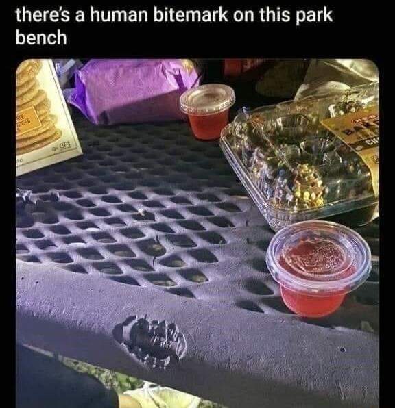 there's a human bitemark on this park bench
